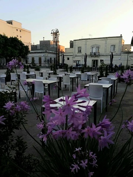Tavoli e sedie bianche all'aperto in piazza Sandro Pertini al tramonto, con fiori lilla di tulbaghia in primo piano